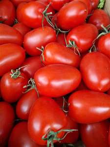 Tomates fraîches, livraison rapide, tomates de haute qualité en provenance d'Afrique du Sud, tomates fraîches de type prune et cerise rouges à vendre - Product Image 2