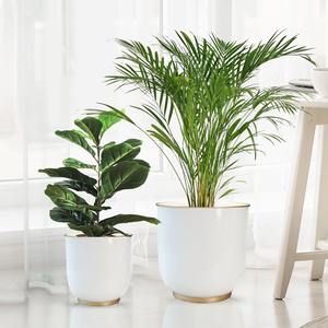 Pot de fleurs blanc avec motif doré pour la décoration moderne de la maison, parfait pour les plantes d'intérieur, le salon, le dessus de table et une présentation élégante - Product Image 1