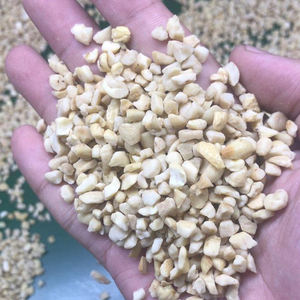 Noix de cajou 100% naturelles, brutes, faibles en gras, fraîches et de bonne qualité, sans additifs, aliments secs transformés à prix abordable - Product Image 1