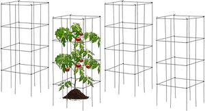 Soporte de jaula para plantas, jaula plegable, estante de Metal de pie para plantas trepadoras, plantas o flores, vegetales y frutas, adecuado para jardín - Product Image 2