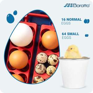 Borotto Lumia 16 Auto Turning Egg <b>Incubator</b> Medium-Sized Automatic 16/64 Capacity Egg <b>Incubator</b> Made in Italy <b>for</b> <b>Sale</b> - Product Image 2