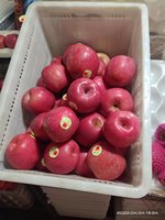 China Bulk Verse Appels Hoge Kwaliteit Vers Fruit Specificatie Rode Fuji appel Nieuwe Oogst Rode Verse Fuji appel Volledig Rode Appels