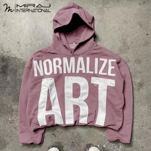 2025 unisexe pulls Design Unique broderie personnalisée sweats à capuche plaine acide lavé en détresse 100% coton pas de poches pour l'automne - Product Image 4