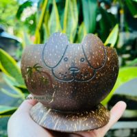 FOURNISSEUR DU VIETNAM TASSE DE COQUILLE DE NOIX DE COCO NATURELLE FAIT MAIN DE HAUTE QUALITÉ TASSE DE NOIX DE COCO POUR SMOOTHIE CAFÉ CRÈME GLACÉE AU MEILLEUR PRIX