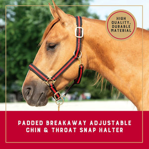 Breakaway เชือกแขวนคอม้าโฟมสายคาดคางแบบปรับได้สายรัดคอเชือกม้าม้าฝึกม้าเชือกผูกคอขนาดเฉลี่ย - Product Image 2