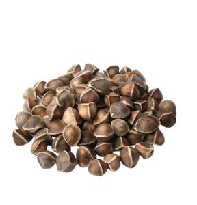 Vente de gros Graines de Moringa Graines de Moringa en vrac Graines de Moringa - Product Image 5