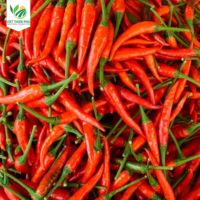 Vente en gros PHU-2024 de légumes surgelés piment frais IQF piment rouge congelé/piment congelé du Viet Nam