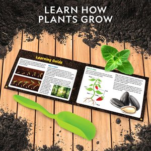 NATIONAL GEOGRAPHIC Kit de culture d'herbes pour enfants-Décorez 3 pots avec peinture et autocollants, ensemble de jardinage pour enfants - Product Image 5
