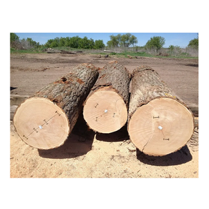 Industrial Grade Oak Wood <b>Logs</b> Round White Oak Red Oak <b>Logs</b> for Timber and Construction Use - Product Image 2