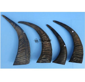 Tradebyd Cuerno hecho a mano Artesanía Decoración decorativa de lujo para el hogar Colección de regalos artesanales ecológicos - Product Image 1