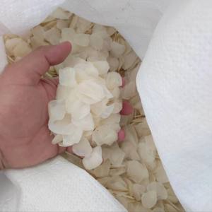 ÉCHELLES DE POISSON CRUTES ÉCHELLES SÉCHÉES DE POISSON TILAPIA RICHE EN CALCIUM QUALITÉ PREMIUM DE VDELTA VIETNAM MARY - Product Image 2