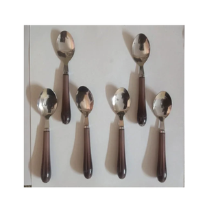 Mini cuillère en acier inoxydable argenté Design petite taille Dessert miel crème glacée assaisonnement fêtes 10CM Mini cuillère à café 12 pièces - Product Image 2