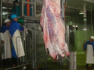 Equipo Halal para Mataderos <span class=keywords><strong>de</strong></span> Ganado, Línea <span class=keywords><strong>de</strong></span> Procesamiento <span class=keywords><strong>de</strong></span> Carne <span class=keywords><strong>de</strong></span> Res para Mataderos - Product Image 2