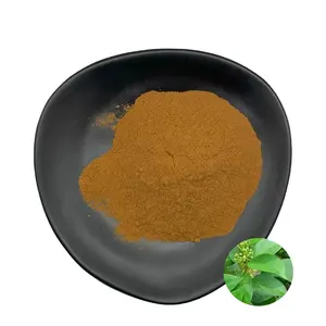 100% Natural Plant Extract Powder Gymnema Sylvestre Leaf Extract Powder 25% 75% Gymnemic Acid Gymnema Sylvestre Extract