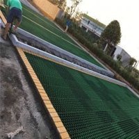 Tapis de boue pour paddock pavage perméable grilles d'herbe en plastique pour cheval arène stabilisation du sol usage équestre