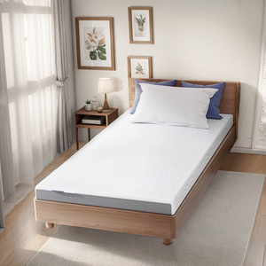 Cobertura de colchão de espuma de memória com Cooling Gel & Bamboo Charcoal, Bed <span class=keywords><strong>Topper</strong></span> Espuma Colchão para Hotel Project, Tampa removível - Product Image 1