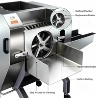 Industriële groentesnijmachine DQC-170 SUS304 Automatische kool- en selderijsnijder voor voedselverwerkingslijn
