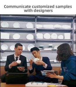 Vaisselle de table en céramique, assiettes de restaurant, en porcelaine, service de table de luxe, P & T <span class=keywords><strong>Horeca</strong></span>, vente en gros - Product Image 6