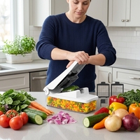 AZ Bestseller Ui- en Groentehakker, Fruit Snijder, Roestvrijstalen Messen, Vaatwasserbestendig, Handmatig, Multifunctioneel, Keukenhulp