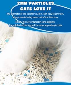 Arena libre de polvo para gatos, arena para gatos con forma de bola, arena para gatos Bentonita aglomerante - Product Image 3