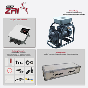 Bomba de Superficie Solar ZRI de CC Sin Escobillas de 4 HP, Bomba de Refuerzo de Alta Presión para Riego Agrícola con Agua Clara, Flujo de 80000 L/h, Altura de 17 m - Product Image 5