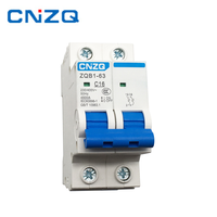 Disyuntor en miniatura 1P 2P 3P 4P 80A 100A 125A Corriente nominal 25A LI Protección Material de cobre Tipo RCBO