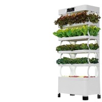 Nouveau système hydroponique intelligent et écologique pour légumes et fleurs, pots et jardinières de jardin