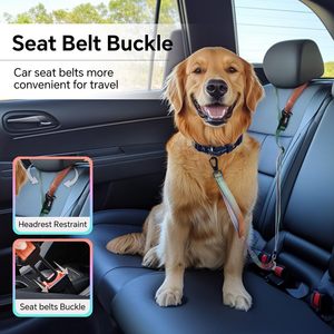 QQPETS Bungee a tracolla guinzaglio per cani regolabile in vita - Product Image 4