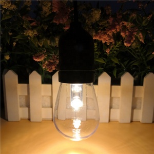 Chuỗi Ánh Sáng Ngoài Trời Edison <span class=keywords><strong>LED</strong></span> S14 Bóng Đèn 1 Watt Rõ Ràng Tác Động Kháng - Product Image 5