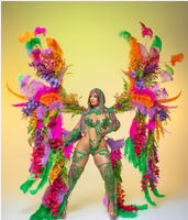 Ceinture en fil métallique faite à la main pour le carnaval de Samba Rio, châle en plumes avec pierres, costume de danse du ventre pour Rave, EDC, défilé, performance, Jouvert