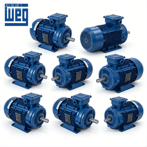 มอเตอร์กันระเบิด Weg ราคาโรงงาน รุ่น w21 5hp 7.5hp 10hp 15hp 20hp 25hp 30hp 40hp 50hp 75hp 100hp สำหรับโรงงานเคมี - Product Image 4