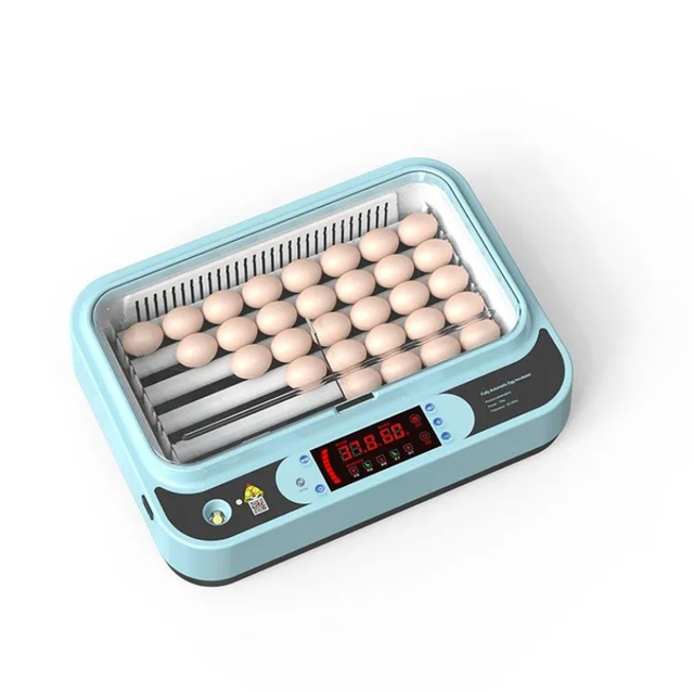 Fully Automatic Dual Power Supply 36 Eggs Incubator Cheap Small Egg Incubator Chicken Egg Incubator