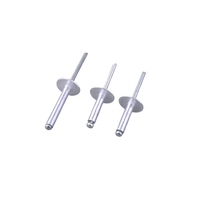 Rivets aveugles en acier inoxydable DIN7337, fournisseur de rivets aveugles en aluminium à tête bombée de type ouvert, colorés et argentés
