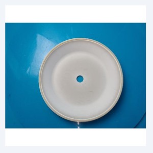 Plaque de couverture en céramique Mattson Paradigm E 1 - Product Image 2
