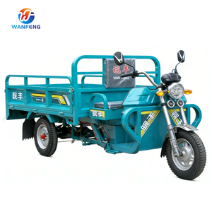 Tricicli Elettrici a Tre Ruote di Grande Capacità e Praticità per il Trasporto di Merci nel Mercato - Product Image 5