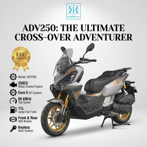 Scooter à essence monocylindre <span class=keywords><strong>250</strong></span> cm³ refroidi par eau, 4 temps, EFI EURO 5, avec freins ABS avant et arrière, démarrage sans clé, vitesse maximale de 95 km/h - Product Image 1