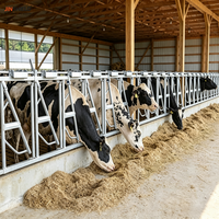 Barrière d'encastrement pour vaches laitières de longueur personnalisée avec 6, 8, 10 ou 12 emplacements d'alimentation