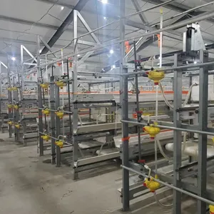 Animal Husbandry Chicken Cage Equipment for Africa Poultry Farm