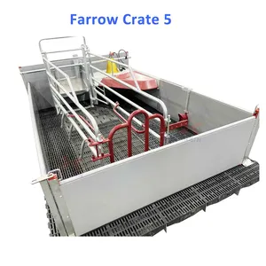 Chengxin Livestock Husbandry Hot Sell Stainless Steel Custom OEM ODM Pearl Farming Equipment For Pig Sheep Cow Farm