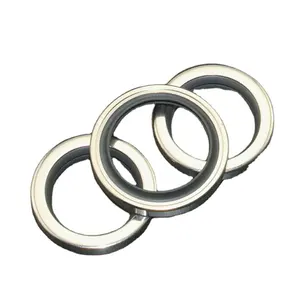 DLSEALS סטנדרטי זוגי ליפ שמן חותם PTFE נירוסטה 40*55*8 סטנדרטי גודל/מותאם אישית גודל-30 ~ + 260 ℃ PTFE + SS 304 80-90A החוף