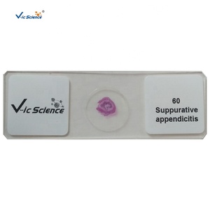 50の人間の一般的な病理学および動物の病理学の固定セットは、教育医学の供給のためのマイクロスコペスライドを準備しました - Product Image 3