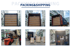 Luces Solares Todo en Uno con 3 Años de Garantía, LED para Exteriores, Impermeables IP65, con Sensor de Movimiento - Product Image 4