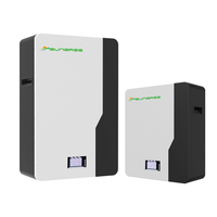 Batterie solaire au lithium 48v Lifepo4 Power wall pack de batterie 100Ah 200Ah 5kwh 10kwh