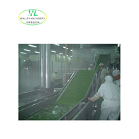 Hotsale Hoge Kwaliteit SUS304 RVS Champignonproductie-apparatuur Automatische Fruit- en Groente IQF Vrieslijn Motor