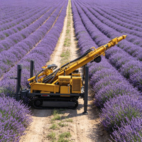 Foreuse hydraulique pour puits d'eau profonds de 500 m, machine de forage sur chenilles avec tige de forage de 6 m à vendre