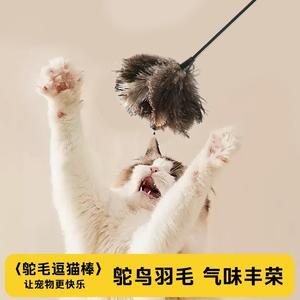 Jouet pour chat en plumes d'autruche, plumes naturelles, résistant aux morsures, jouet pour chaton, divertissement pour animaux de compagnie, jouet à main pour chat - Product Image 1