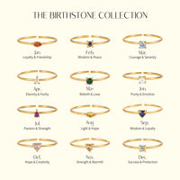 BinShuo Ensemble de bagues ouvertes ajustables en acier inoxydable plaqué or 18 carats, étanches, avec zircon de la série 12 pierres de naissance, pour femmes, cadeaux de fête