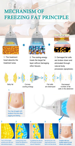 Portable Lipolysis Fat Slimming Machine Non Invasive Body Contouring <b>Weight</b> Loss Beauty Equipment - Product Image 4