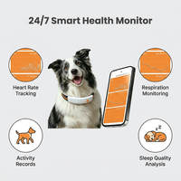 Collier GPS pour chien et chat avec moniteur de fréquence cardiaque et de fréquence respiratoire