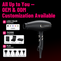 Sèche-cheveux professionnel FirePhoenix F3 MAX PRO, commande en gros, 3000W BLDC, léger 490g, séchage rapide, sèche-cheveux de salon